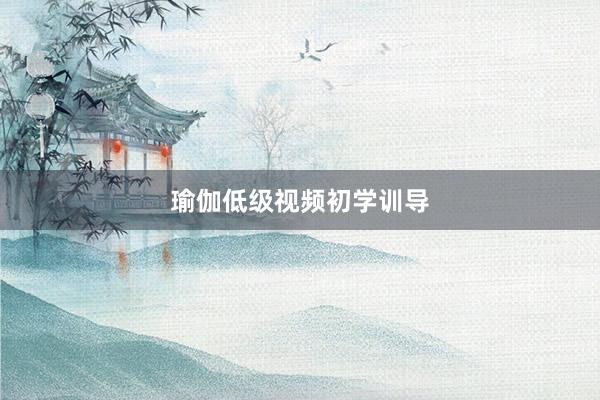 瑜伽低级视频初学训导